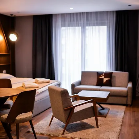 Hotel Borova Wellness&spa Zlatibor