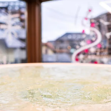 Borova Wellness&spa Hotel 4*