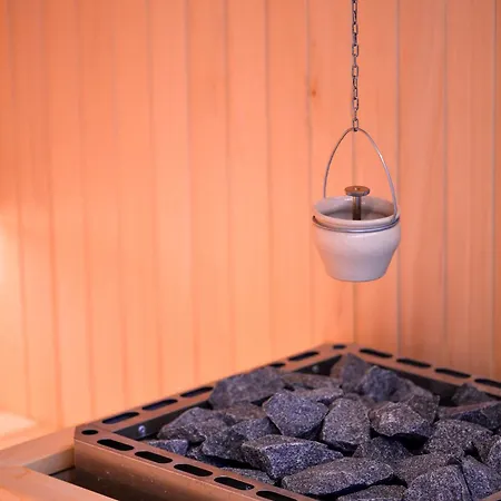 Borova Wellness&spa Hotel