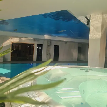 Borova Wellness&spa Hotel